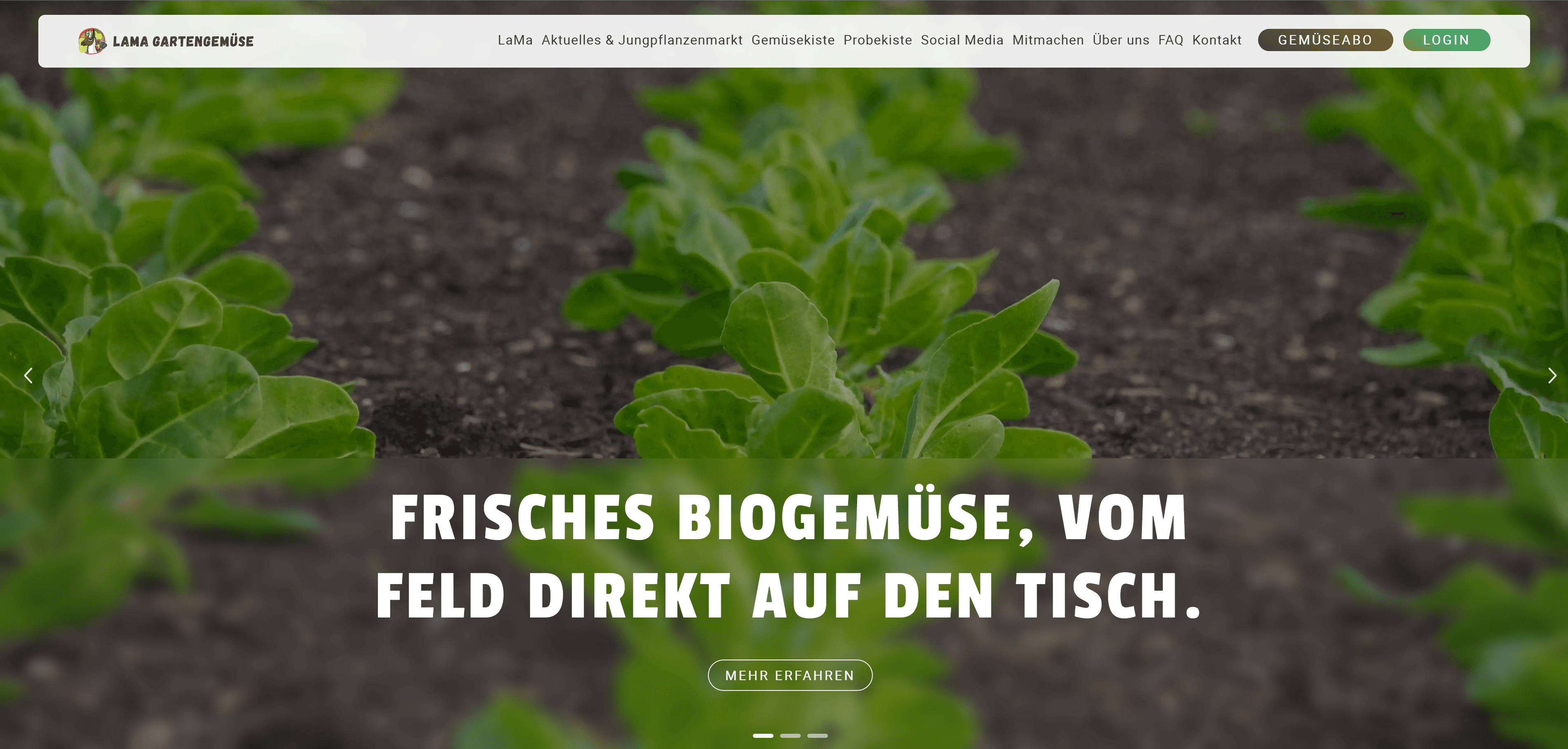 Die moderne und einladende Website von LaMa Gartengemüse